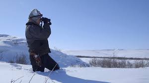 Watch Life Below Zero - Season 9