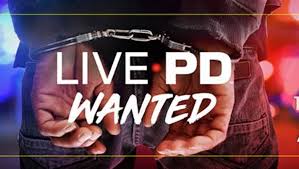 Watch Live PD: Wanted - Season 2