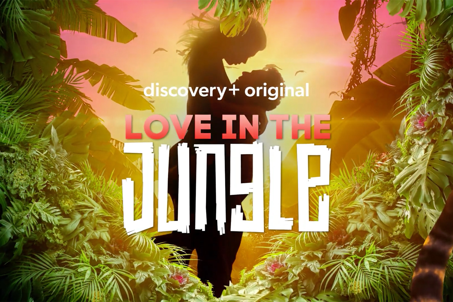 Watch Love in the Jungle - Season 1