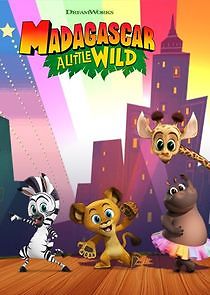 Madagascar: A Little Wild - Season 4