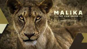 Watch Malika the Lion Queen