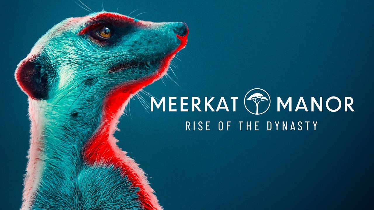 Watch Meerkat Manor: Rise of the Dynasty - Season 1