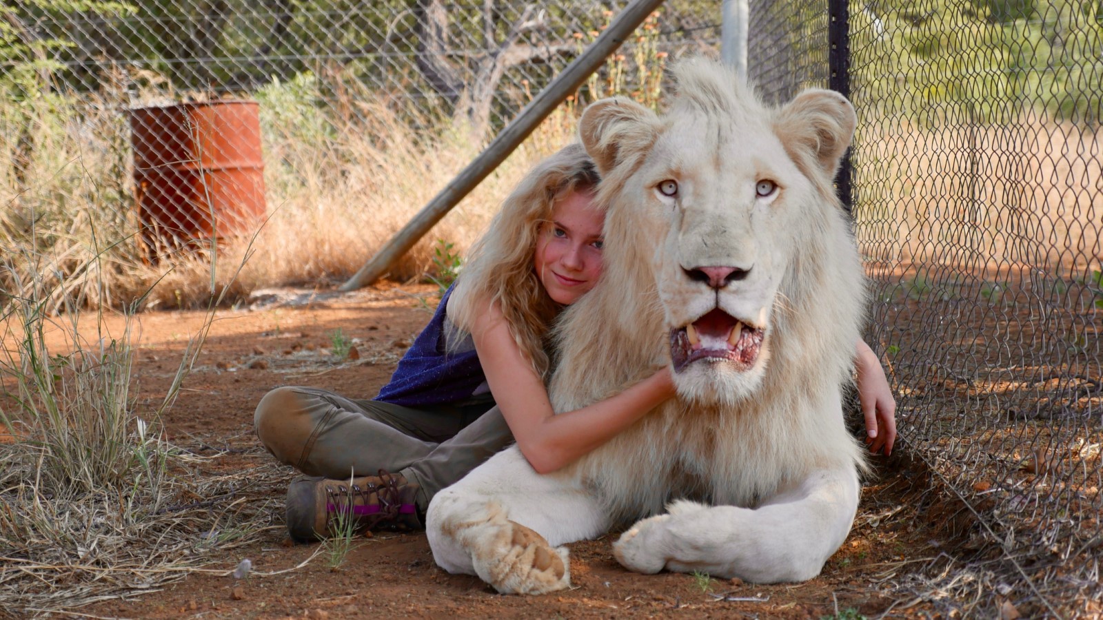 Watch Mia and the White Lion