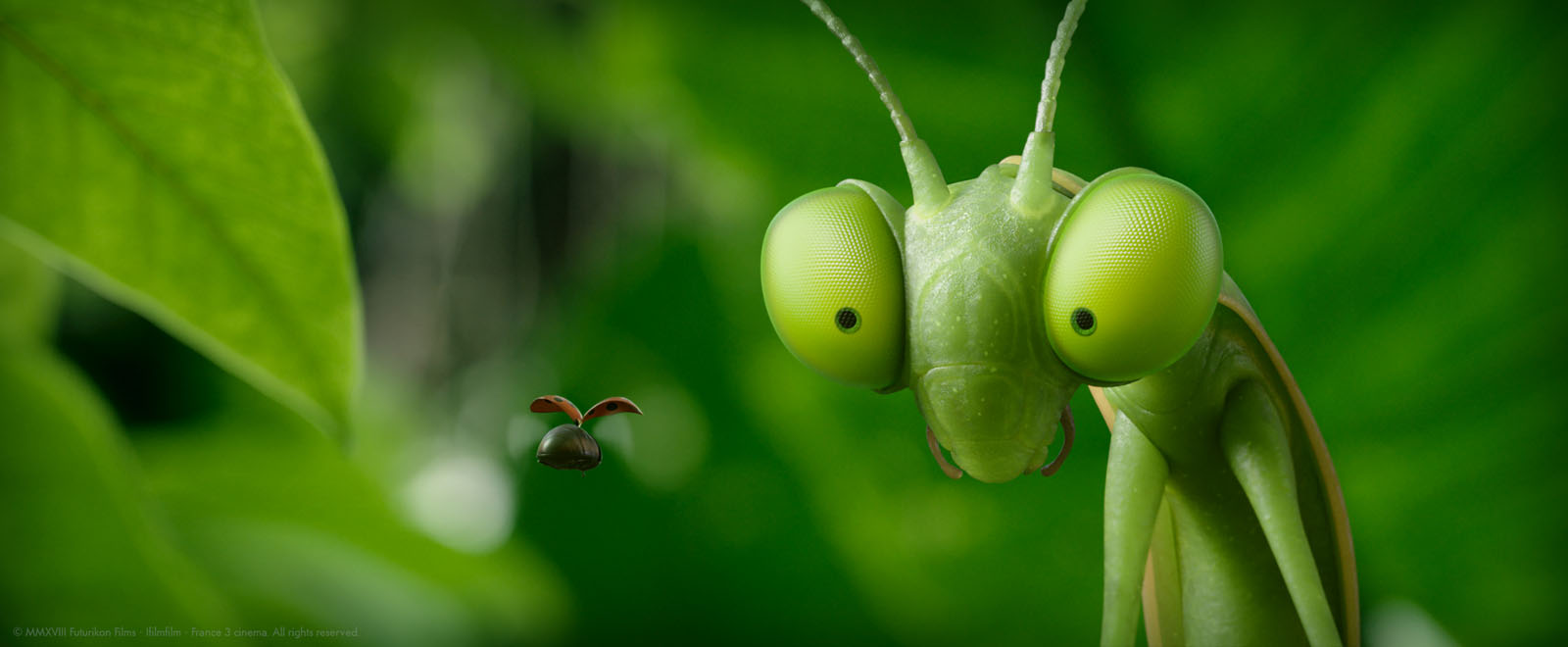 Watch Minuscule - Mandibles from Far Away