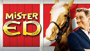 Watch Mister Ed season 2