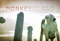 Watch Monkey Island - Season 1