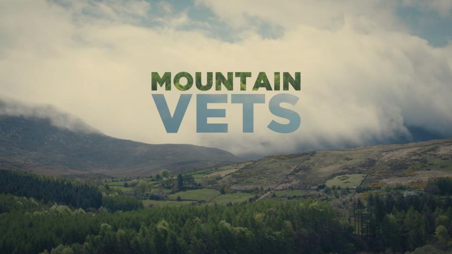 Watch Mountain Vets - Season 1