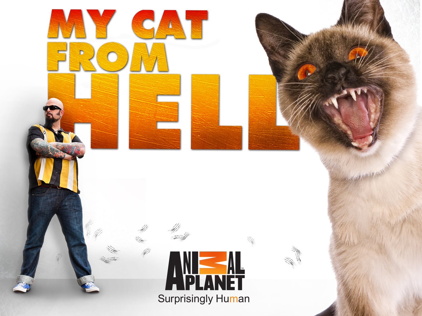 Watch My Cat from Hell - Season 1