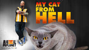 Watch My Cat from Hell - Season 9