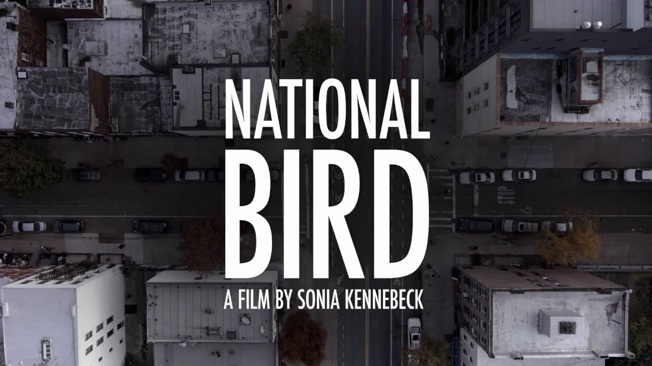 Watch National Bird