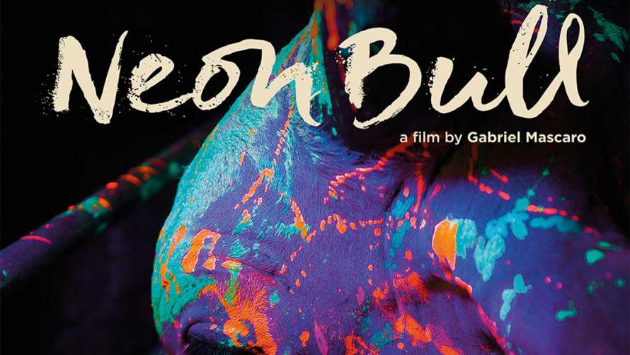 Watch Neon Bull