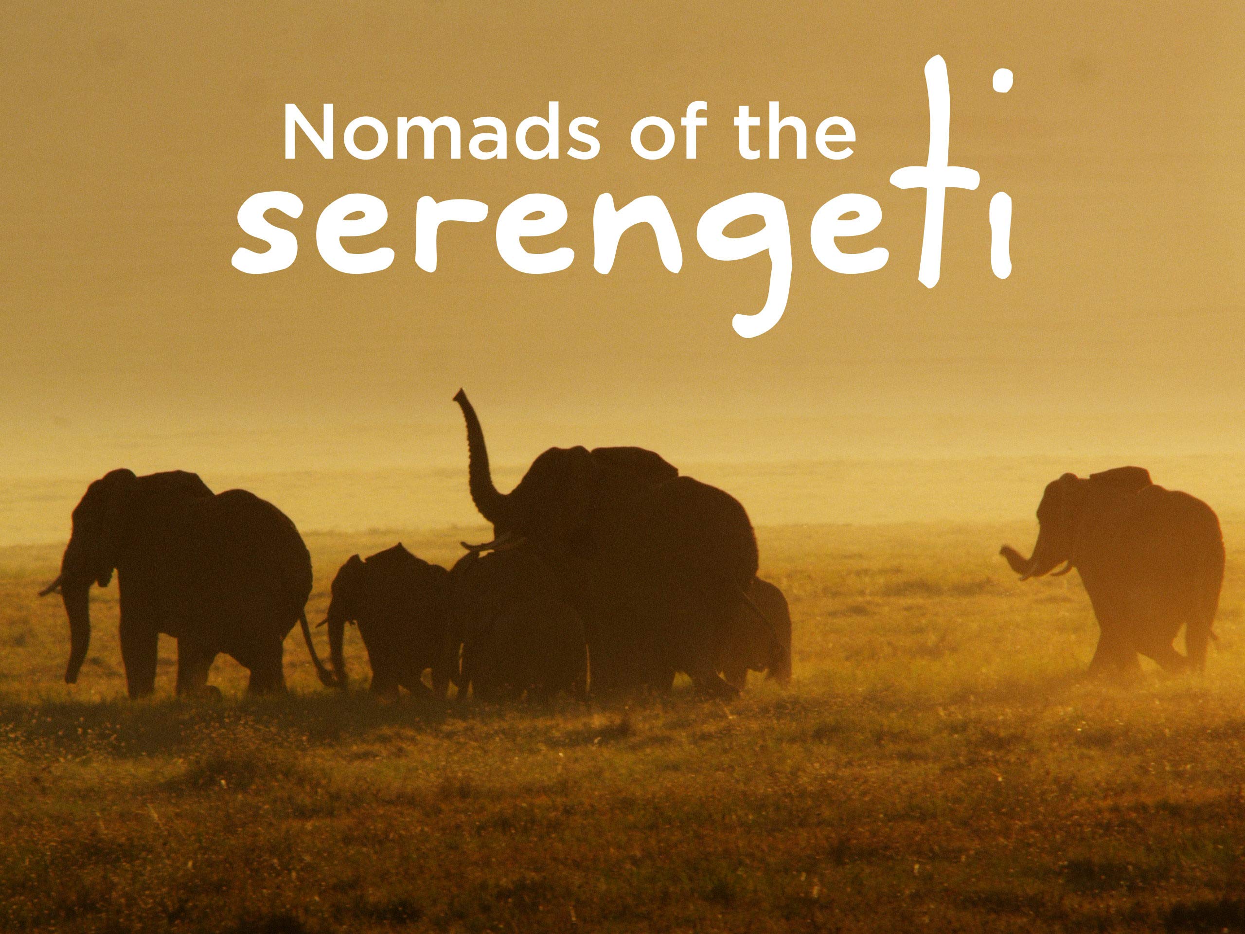 Watch Nomads of the Serengeti - Season 1