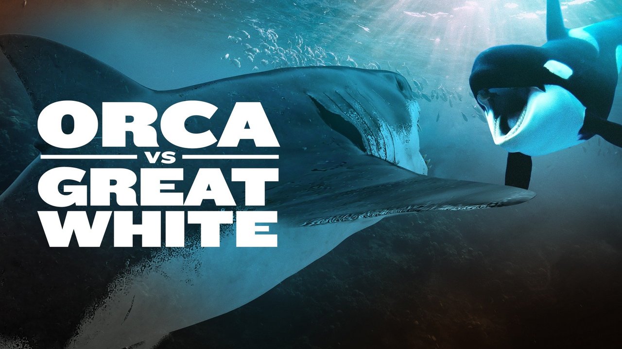 Watch Orca vs. Great White