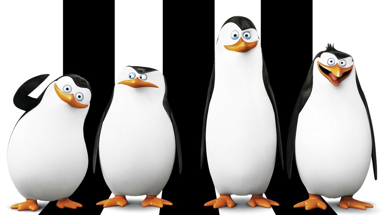 Watch Penguin League