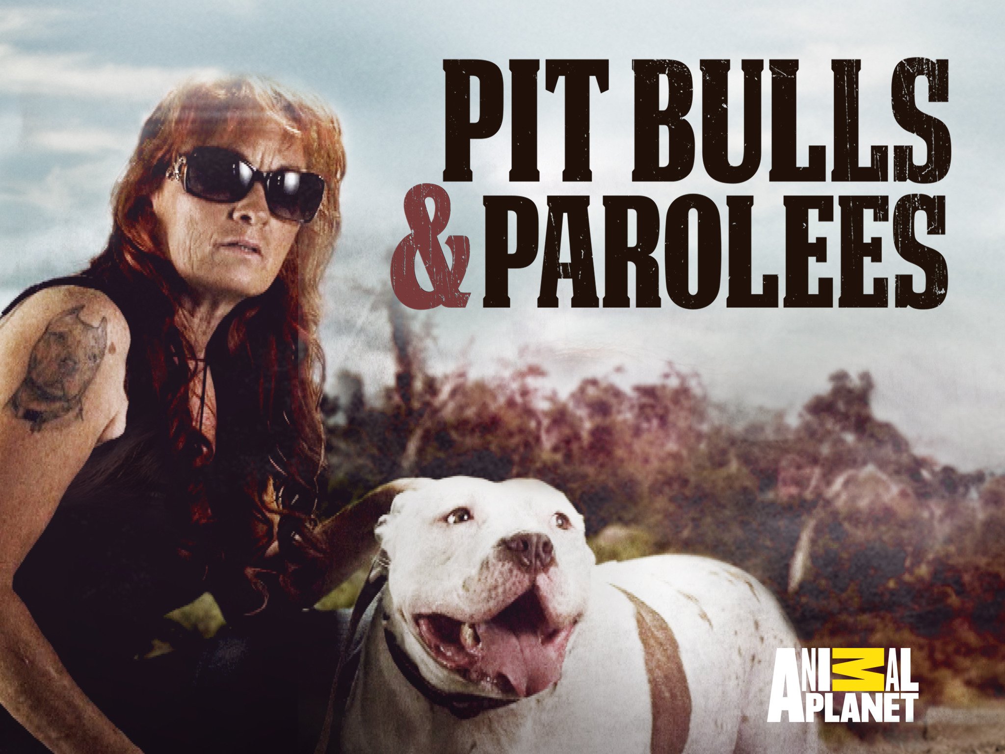 Watch Pit Bulls and Parolees - Season 12