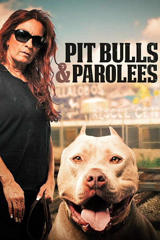 Pit Bulls and Parolees - Season 14