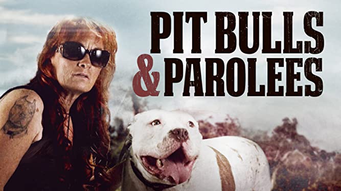 Watch Pit Bulls and Parolees - Season 16