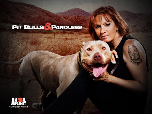 Watch Pit Bulls and Parolees - Season 9