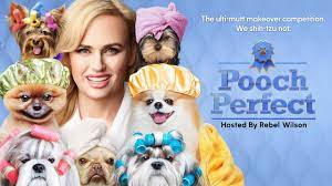 Watch Pooch Perfect - Season 1