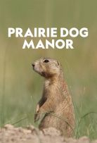 Prairie Dog Manor - Season 1