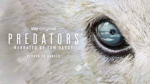 Watch Predators - Season 1