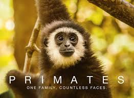 Watch Primates - Season 1