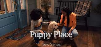 Watch Puppy Place - Season 1