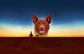 Watch Red Dog: True Blue