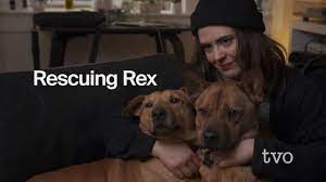 Watch Rescuing Rex