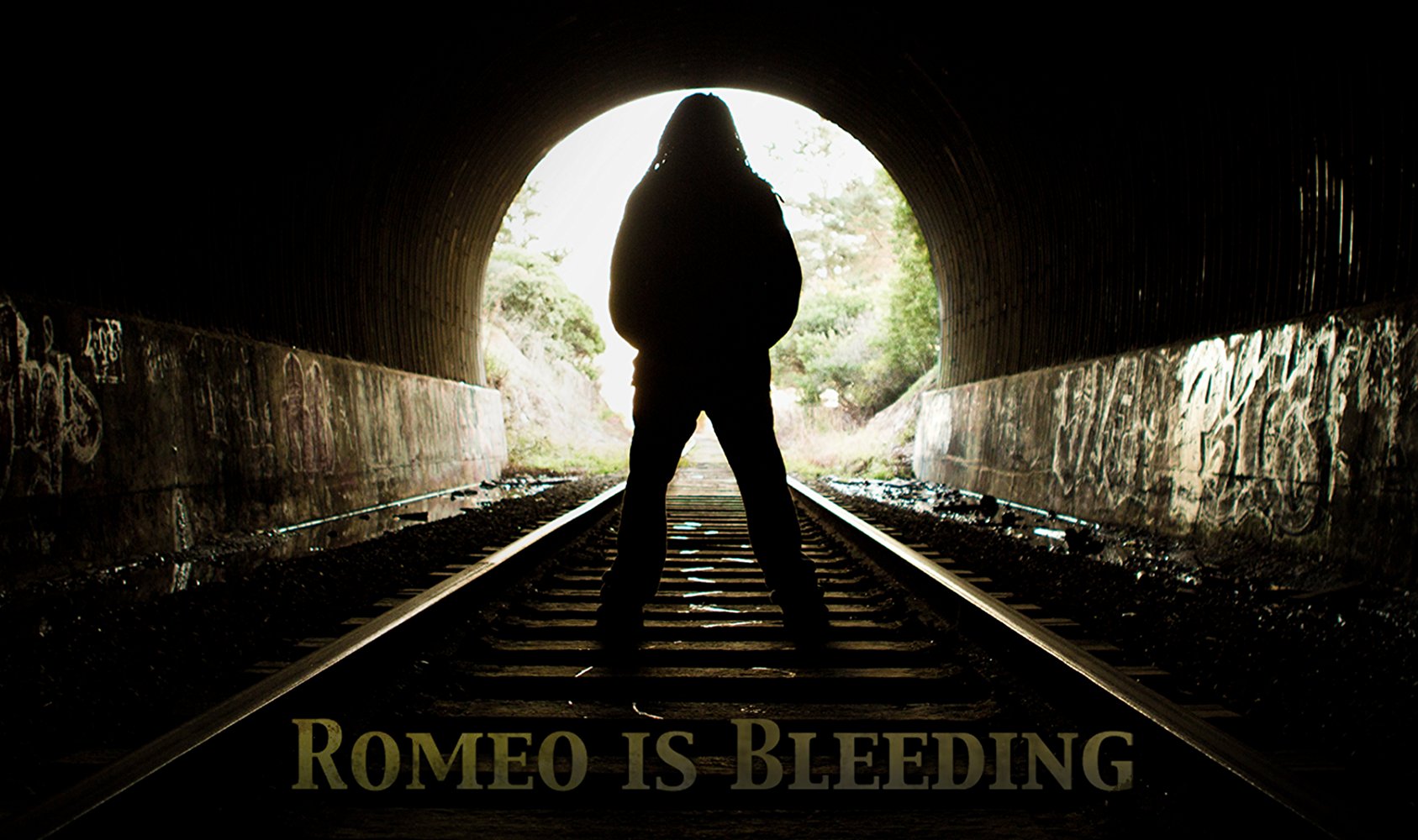 Watch Romeo is Bleeding