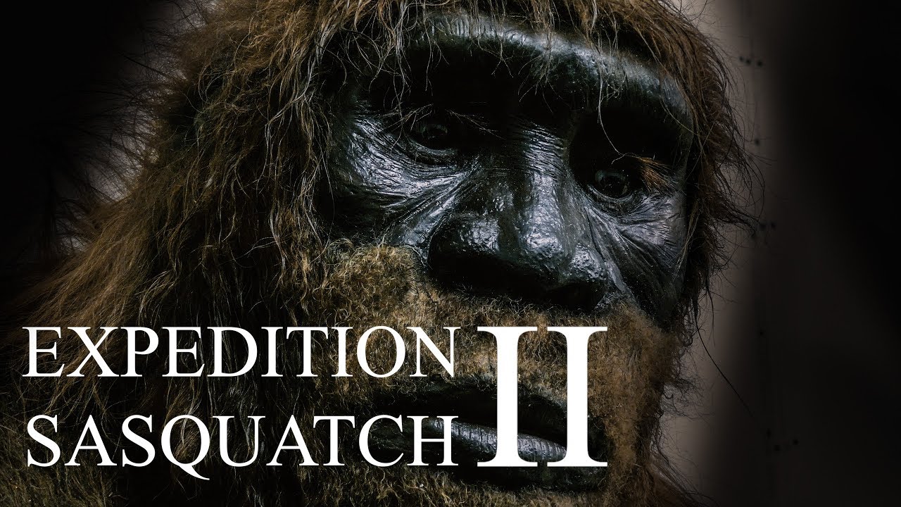 Watch Sasquatch Hunters