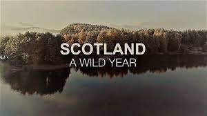 Watch Scotland: A Wild Year - Season 1