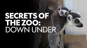 Watch Secrets of the Zoo: Down Under - Season 1