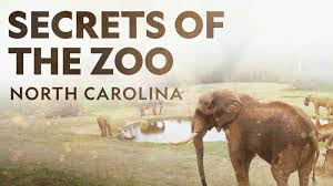 Watch Secrets of the Zoo: North Carolina - Season 1