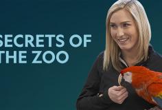 Watch Secrets of the Zoo - Season 2