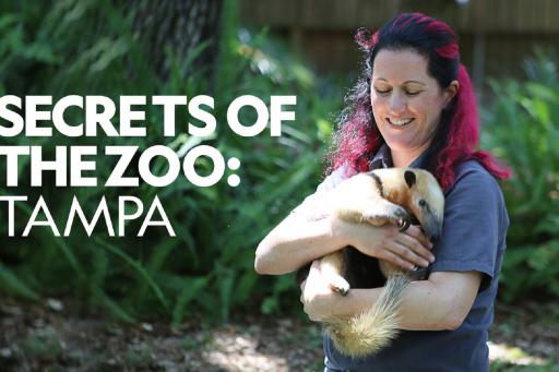 Watch Secrets of the Zoo: Tampa - Season 1