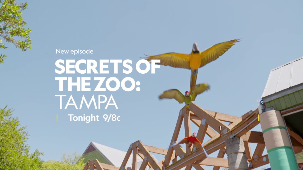 Watch Secrets of the Zoo: Tampa - Season 2