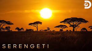Watch Serengeti - Season 2