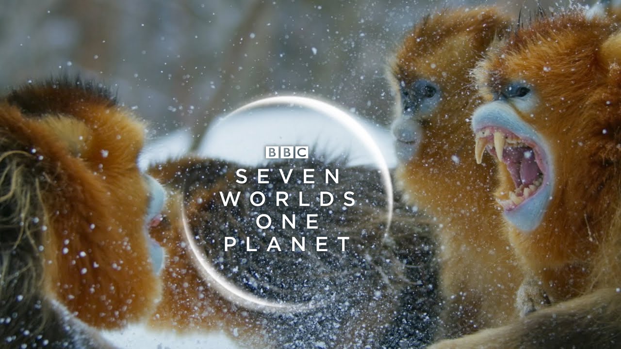 Watch Seven Worlds, One Planet - Season 1