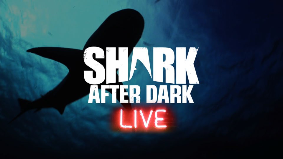 Watch Shark After Dark - Season 5