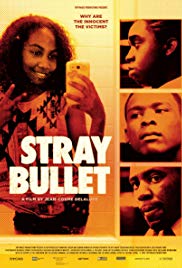 Stray Bullet