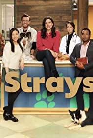 Strays - Season 1