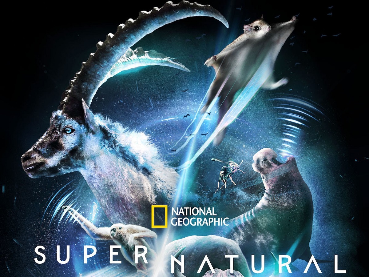 Watch Super/Natural - Season 1