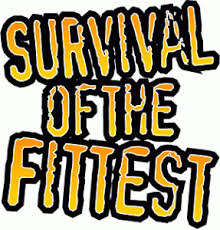 Watch Survival of the Fittest - Season 1