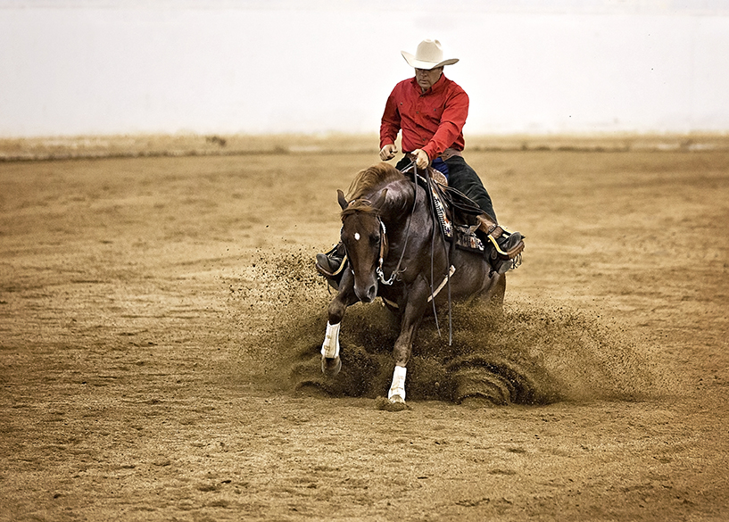 Watch Texas Rein