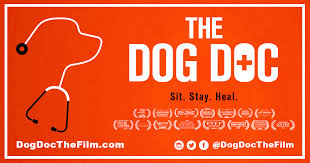 Watch The Dog Doc