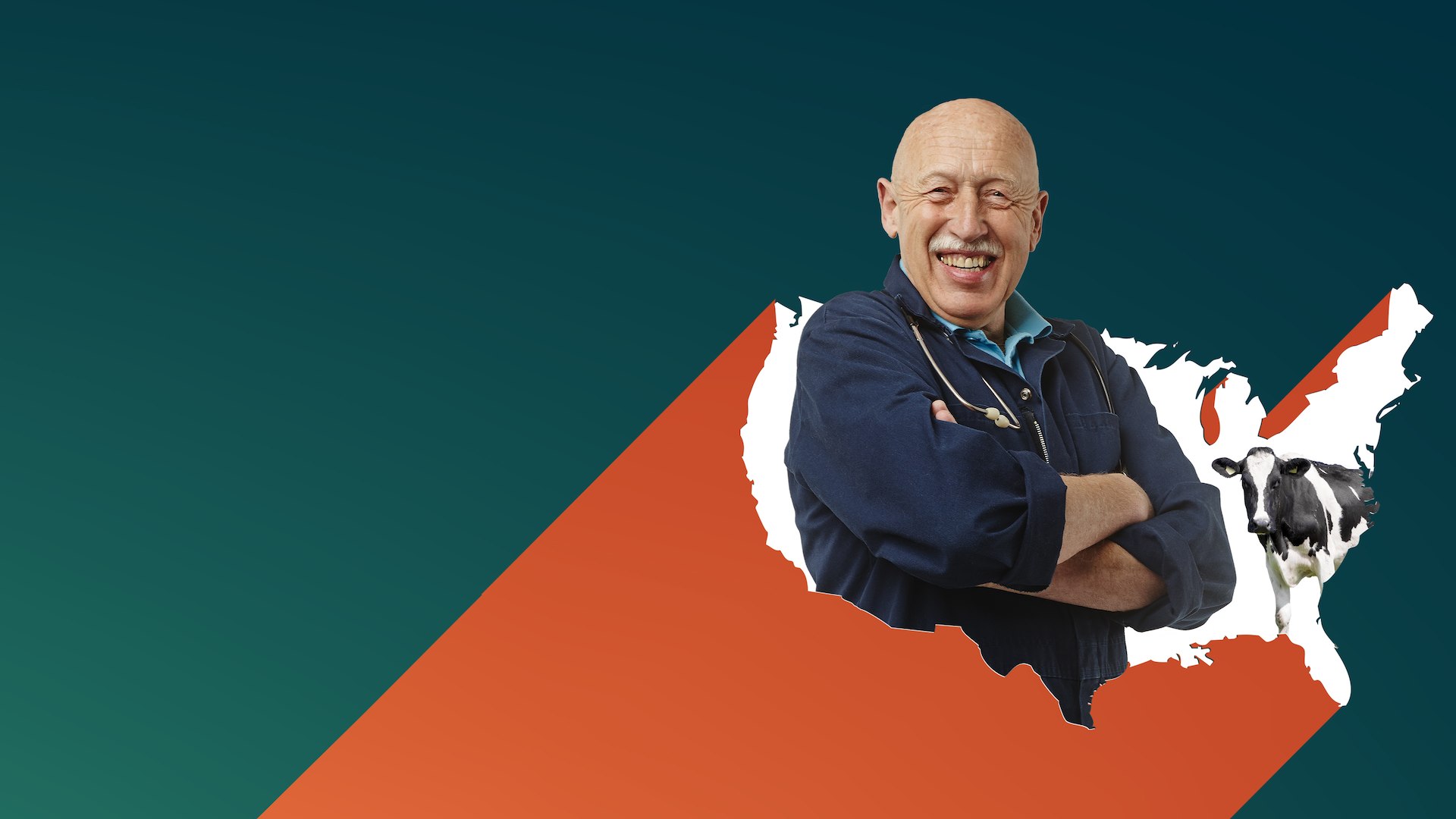 Watch The Incredible Dr. Pol - Season 13