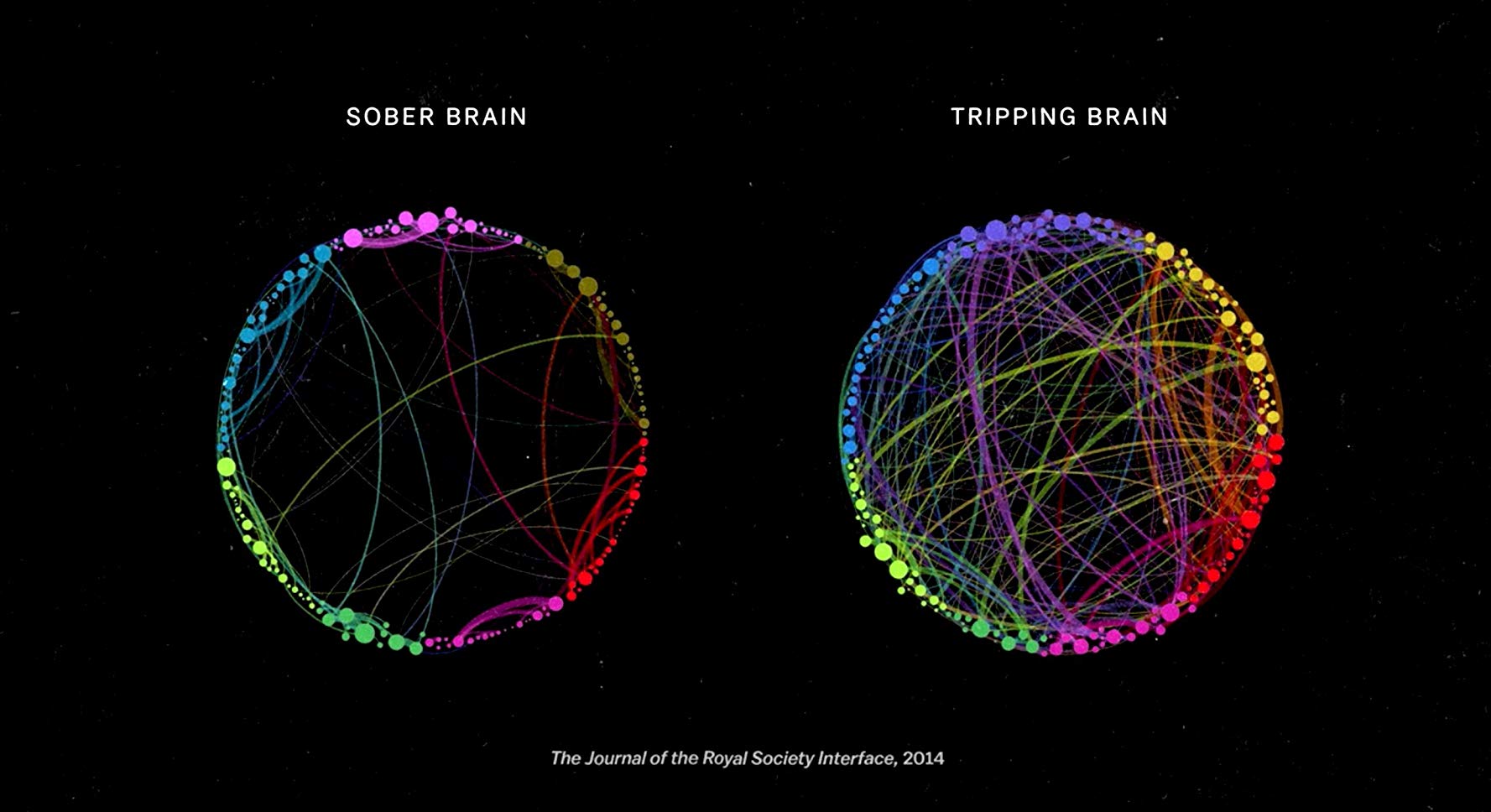 Watch The Mind, Explained - Season 1