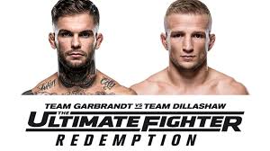 Watch The Ultimate Fighter - Season 01