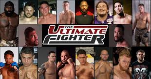Watch The Ultimate Fighter - Season 12